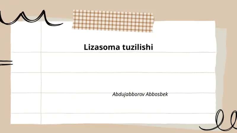 Lizasoma tuzilishi