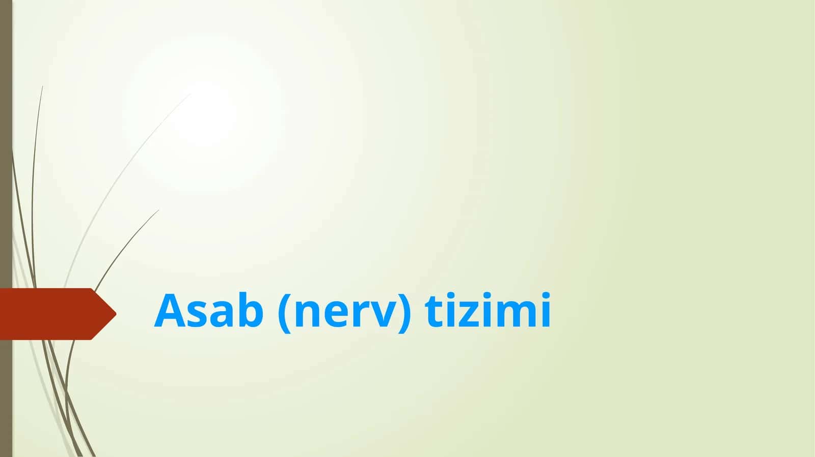 Asab(nerv)tizimi
