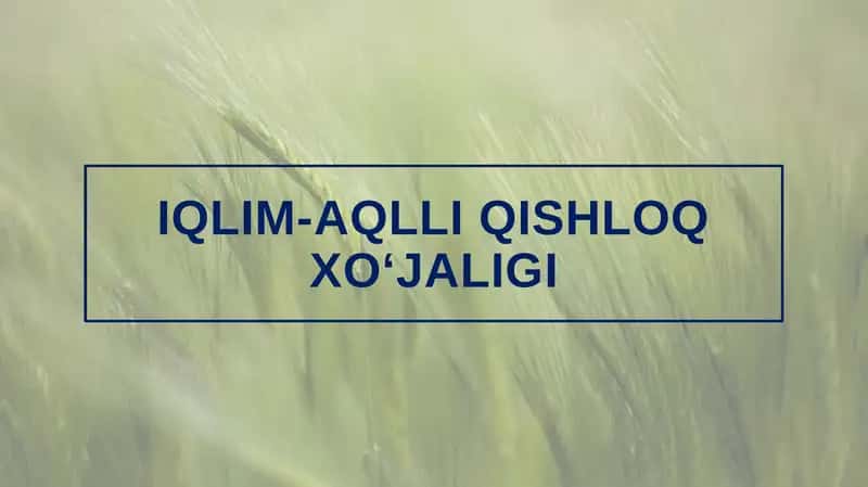 Iqlim-aqlli qishloq xo‘jaligi