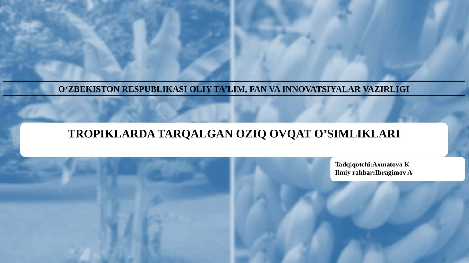 TROPIKLARDA TARQALGAN OZIQ OVQAT O’SIMLIKLARI