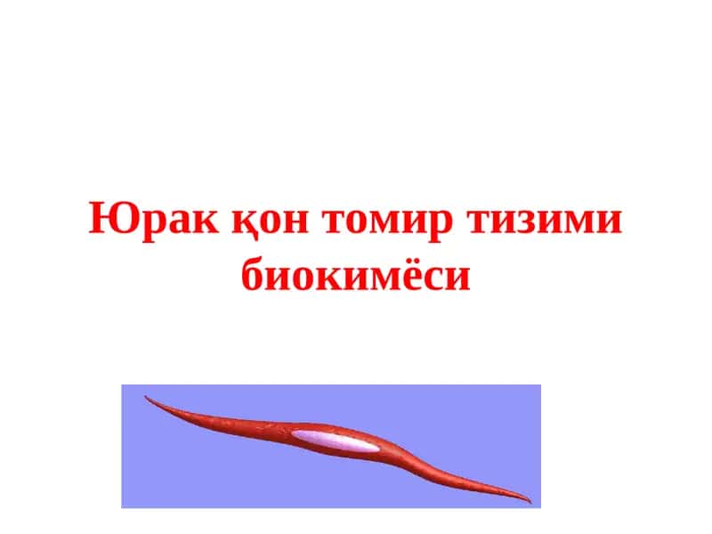 Юрак қон томир тизими биокимёси
