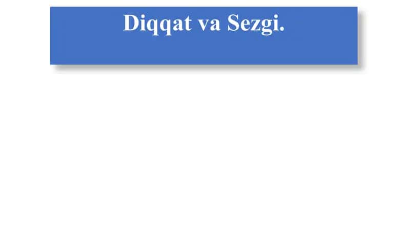 Diqqat va Sezgi