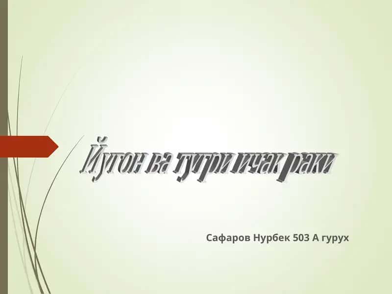 Тўғри ичак анатомияси