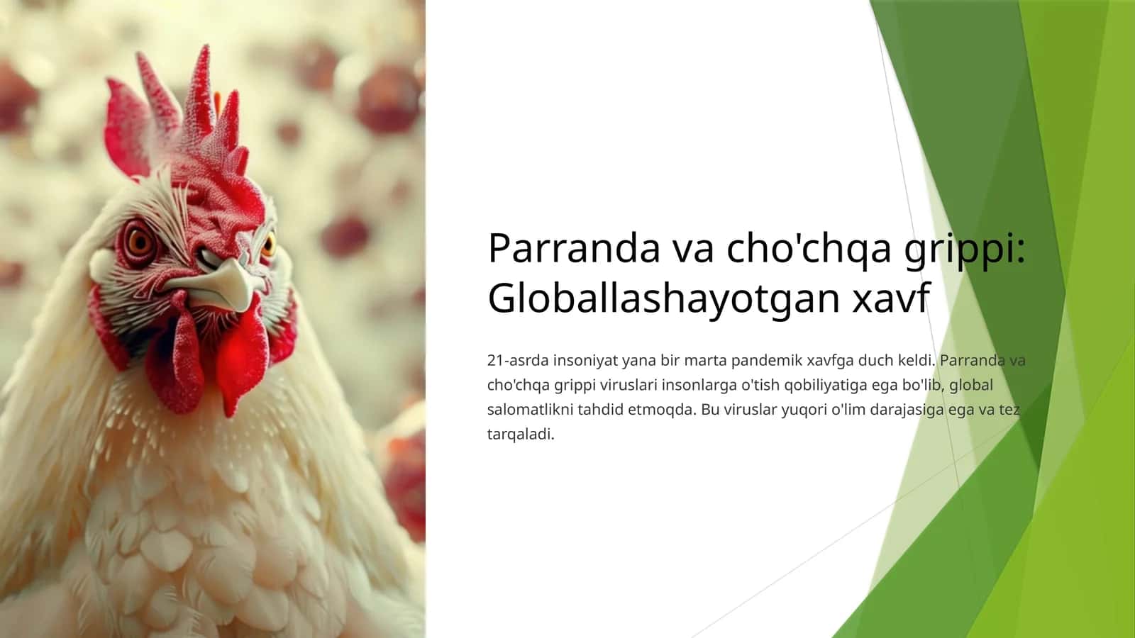 Parranda va cho'chqa grippi: Globallashayotgan xavf