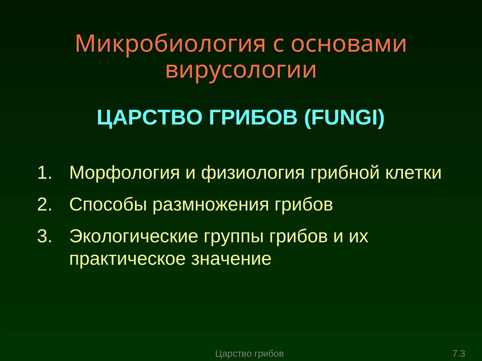 Морфология и физиология грибной клетки