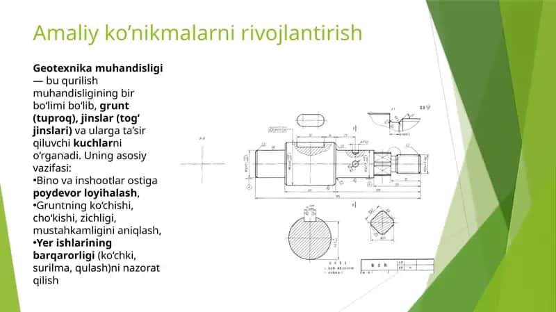 Amaliy ko’nikmalarni rivojlantirish
