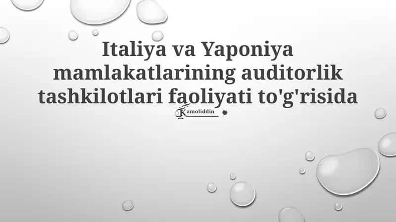 Italiya va Yaponiya mamlakatlarining auditorlik tashkilotlari faoliyati to'g'risida