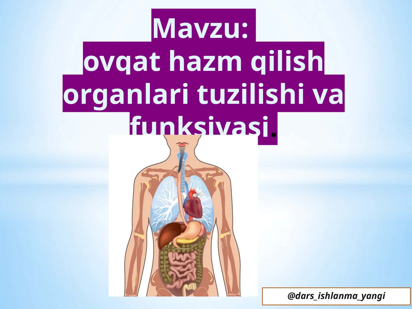 ovqat hazm qilish organlari tuzilishi va funksiyasi