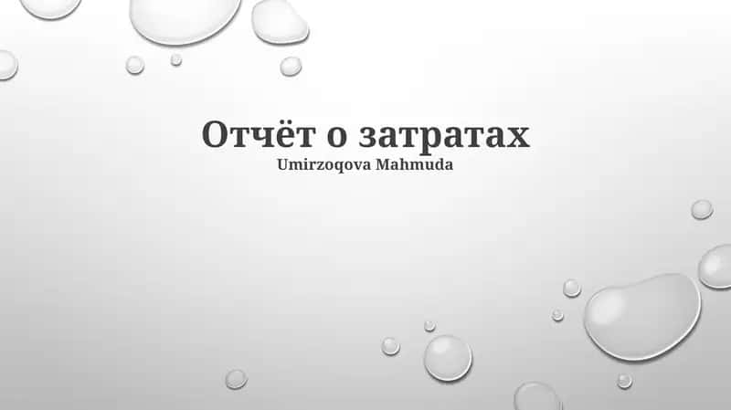 Отчёт о затратах