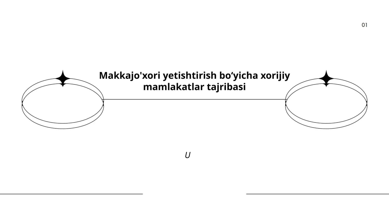 Makkajo'xori yetishtirish boʻyicha xorijiy mamlakatlar tajribasi