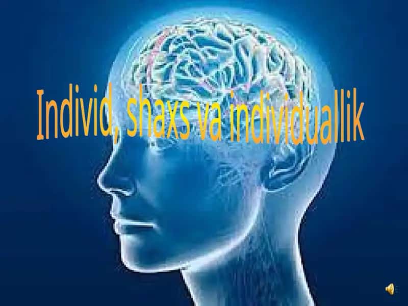 Individ, shaxs va individuallik