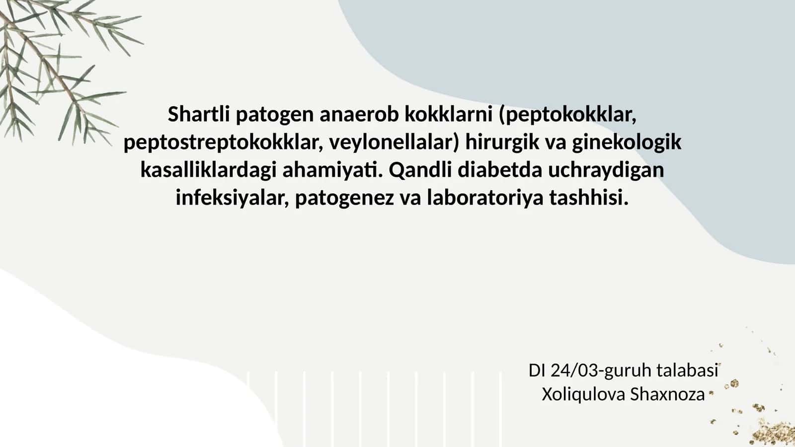 Shartli patogen anaerob kokklarni hirurgik va ginekologik kasalliklardagi ahamiyati