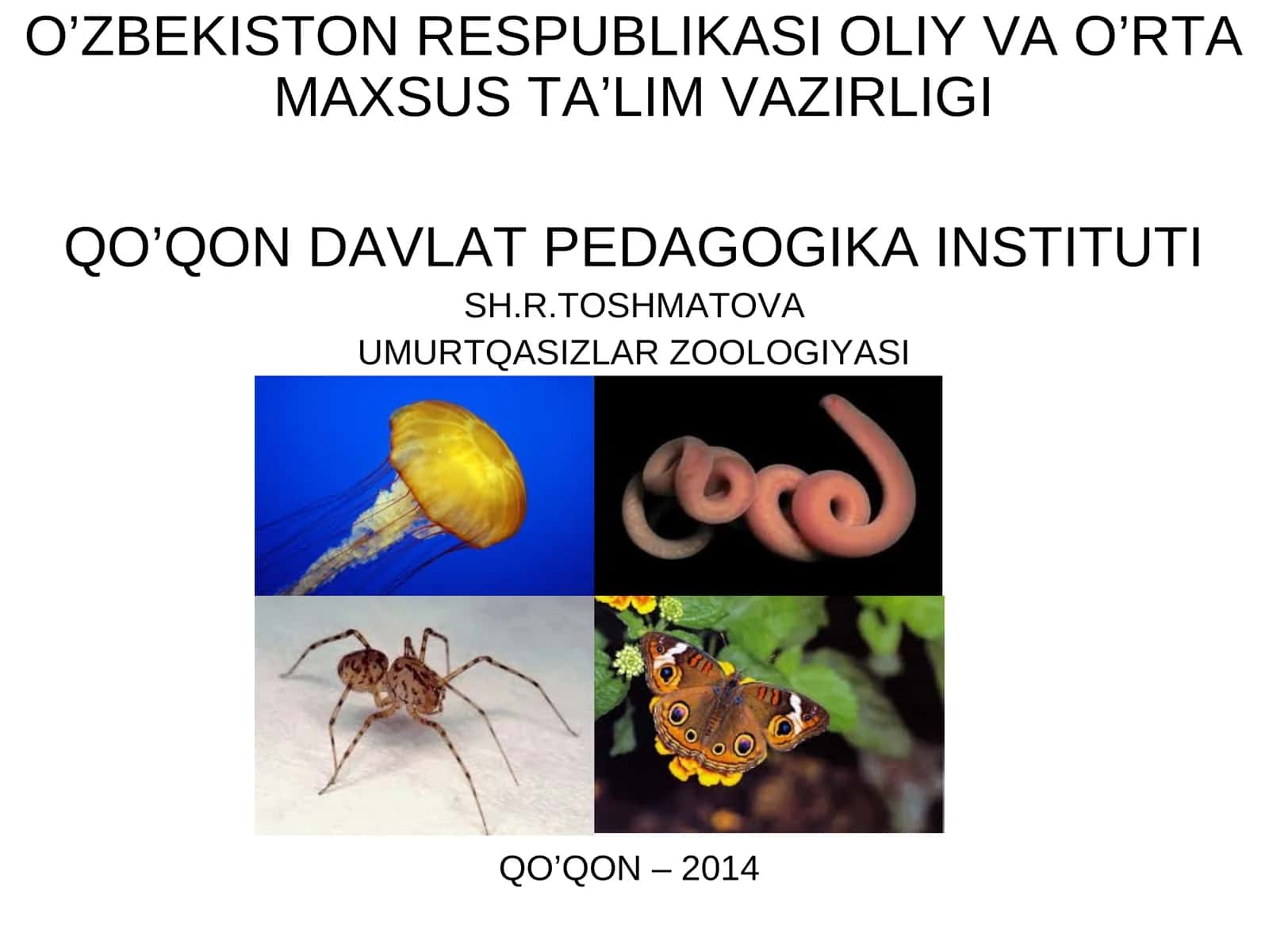 Traheya bilan nafas oluvchilar (TRACHEATA)