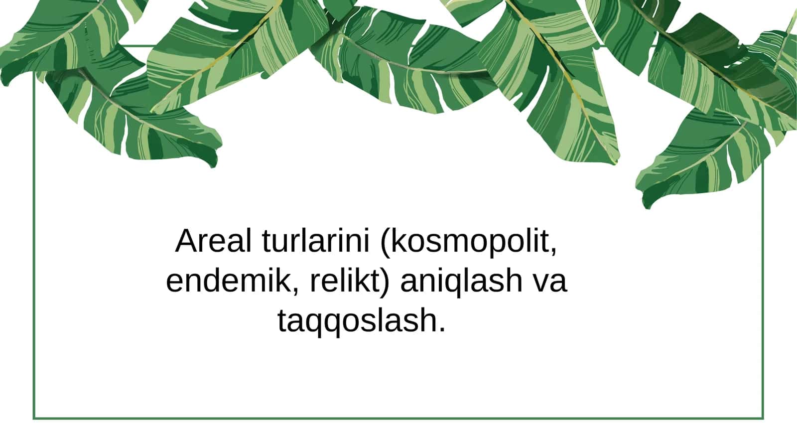 Mustaqil ishi