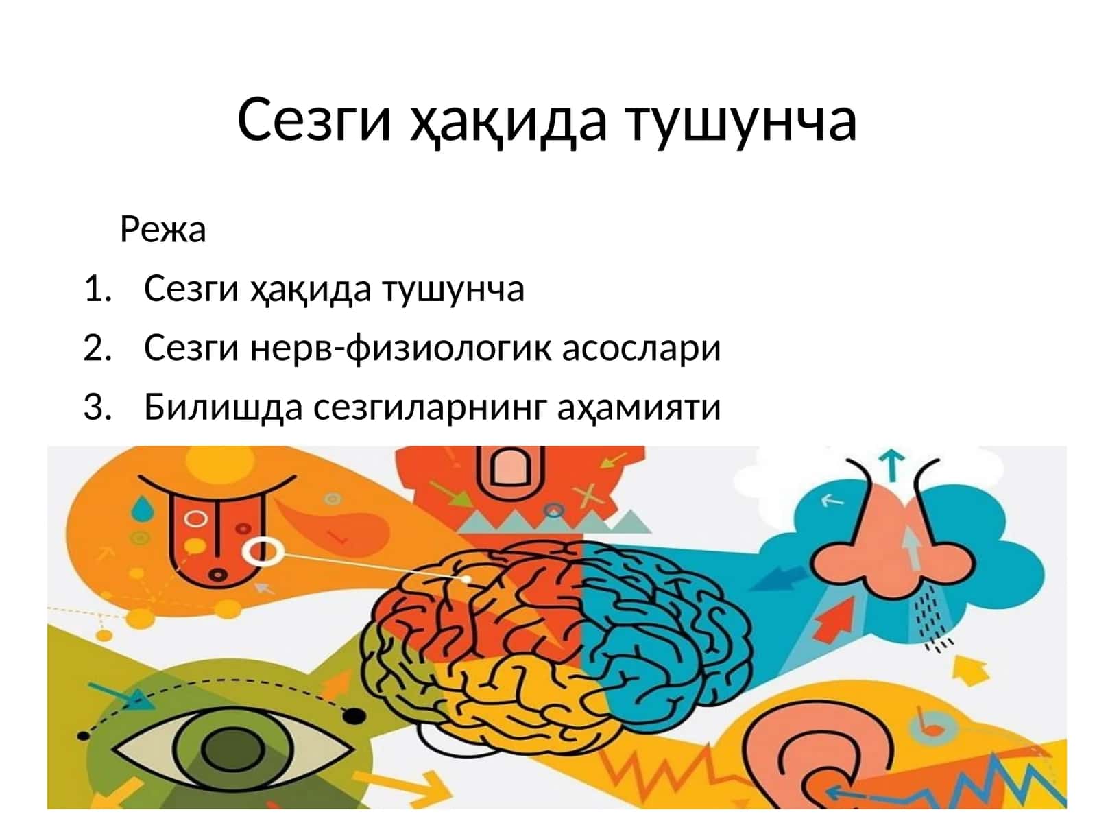 Сезги ҳақида тушунча