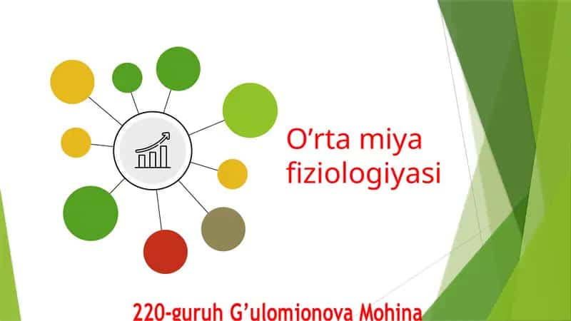 Oʼrta miya fiziologiyasi