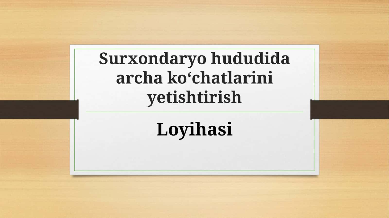 (100 millionlik loyiha ishi)  Surxondaryohududida archa ko‘chatlarini yetishtirish Loyihasi