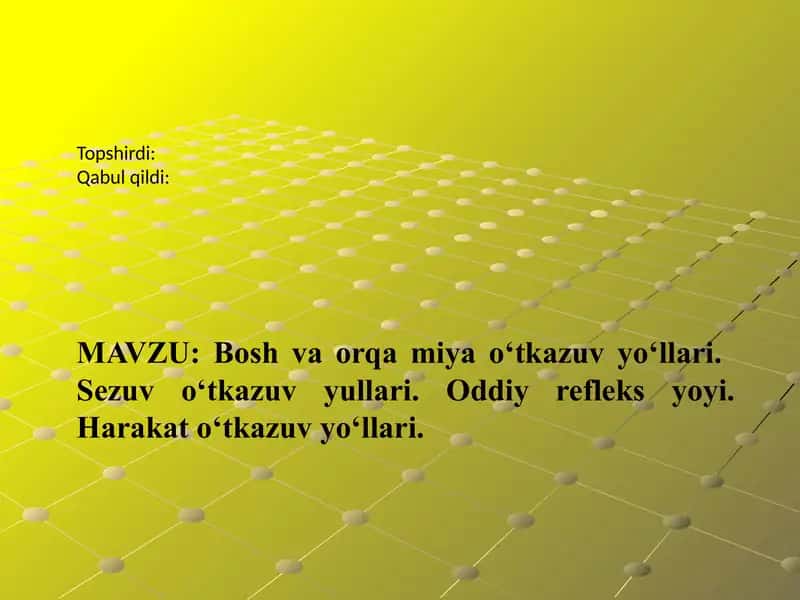 Anatomiya. Bosh va orqa miya o'tkazuv yo'llari. Nevrologiya