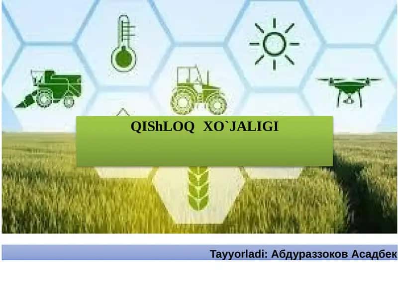 Qishloqxo’jaligi