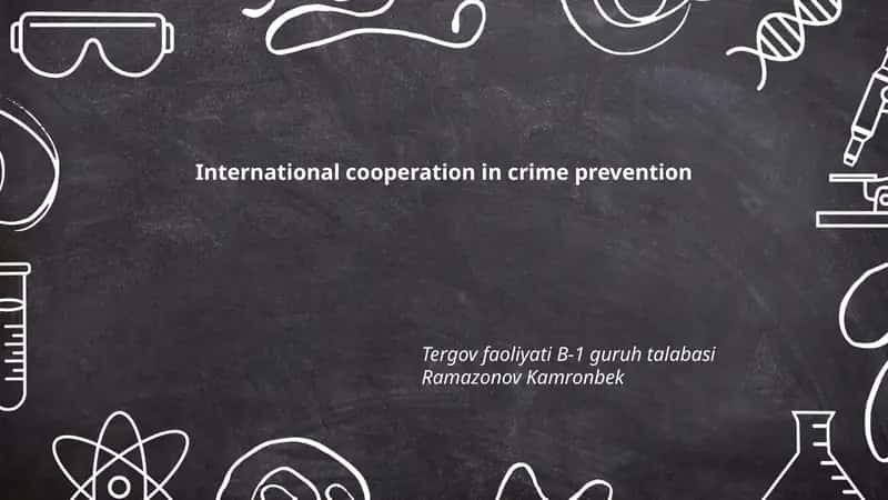 International cooperation in crime prevention