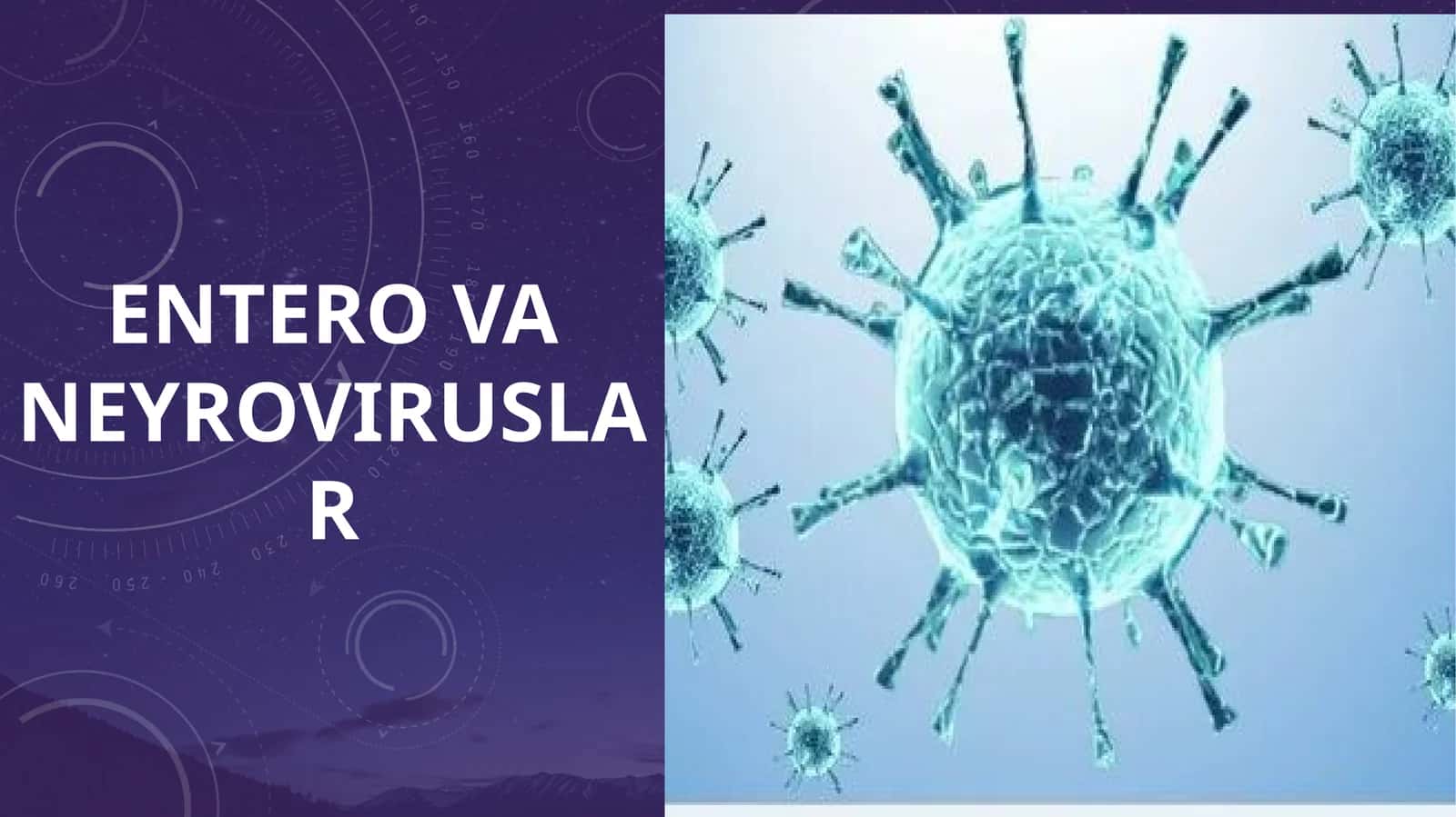 ENTERO VA NEYROVIRUSLAR