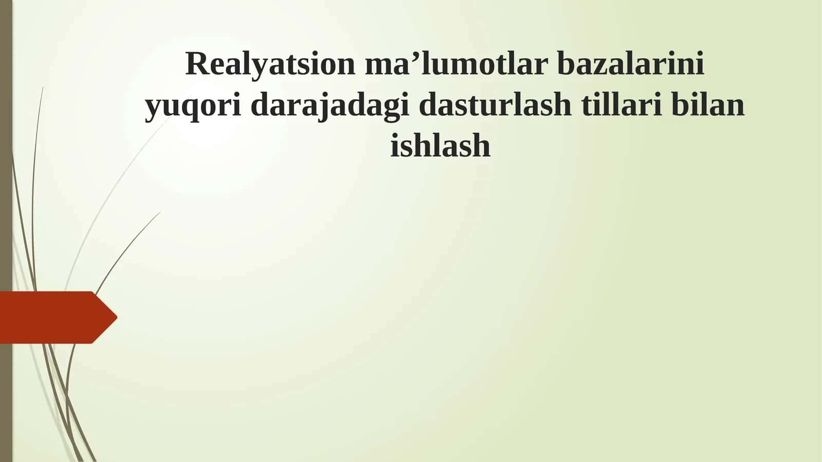 Realyatsion ma’lumotlar bazalarini yuqori darajadagi dasturlash tillari bilan ishlash