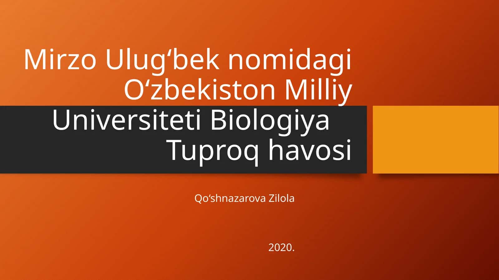 Mirzo Ulug‘bek nomidagi O‘zbekiston Milliy Universiteti, Biologiya Tuproq havosi
