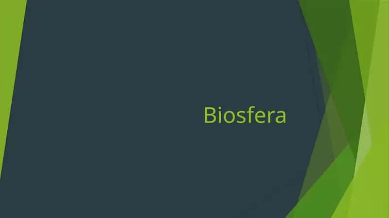 Biosfera