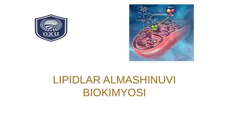 LIPIDLAR ALMASHINUVI BIOKIMYOSI