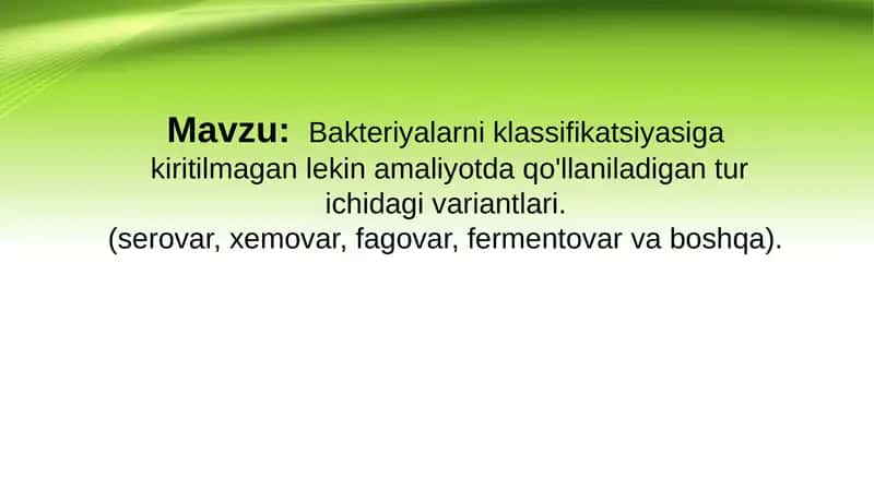Bakteriyalarni klassifikatsiyasiga
kiritilmagan lekin amaliyotda qo‘llaniladigan tur ichidagi vari