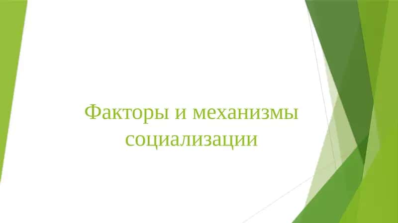 Факторы и механизмы социализации