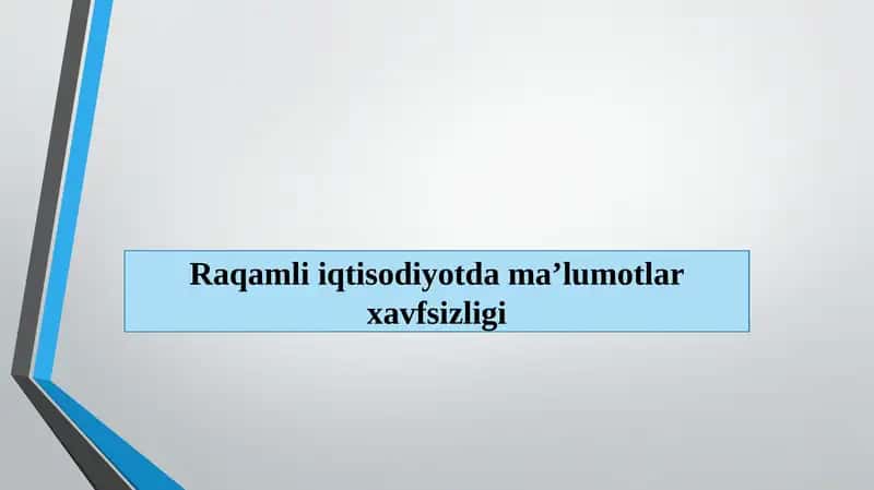 Raqamli iqtisodiyotda ma’lumotlar xavfsizligi