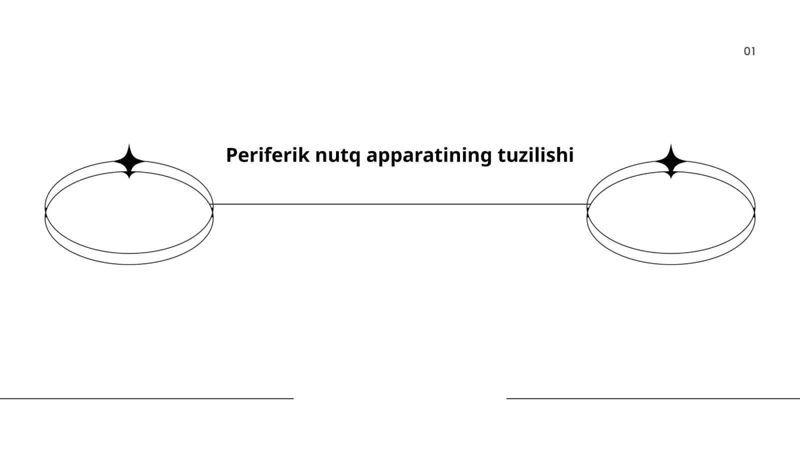 Periferik nutq apparatining tuzilishi