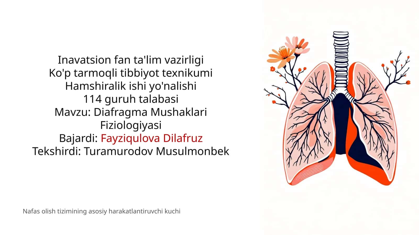 Diafragma Mushaklari Fiziologiyasi