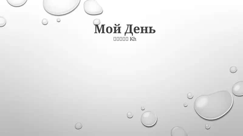 Мой День