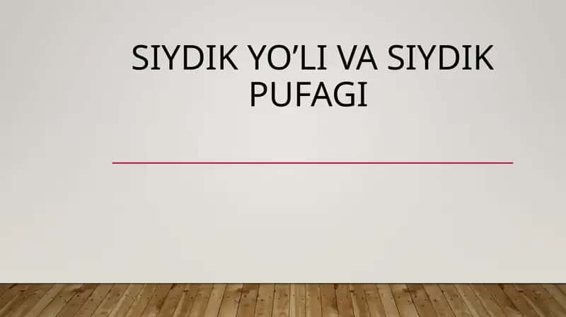 Siydik yo’li va siydik pufagi