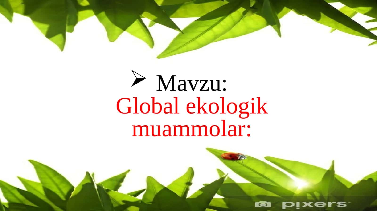 Globalekologik muammolar