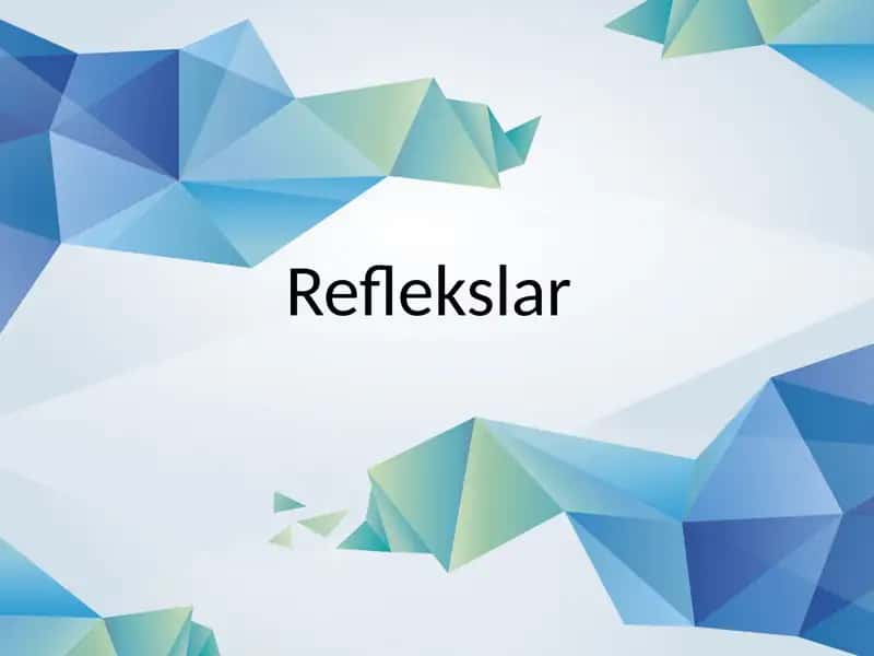 Reflekslar