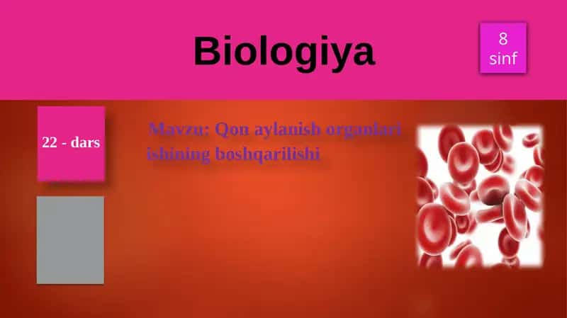 Qonaylanish organlari ishining boshqarilishi