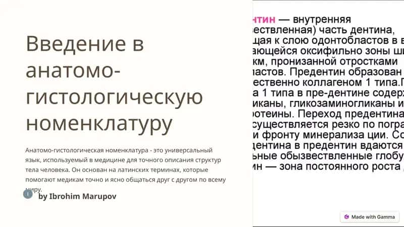 Введение в анатомо-гистологическую номенклатуру