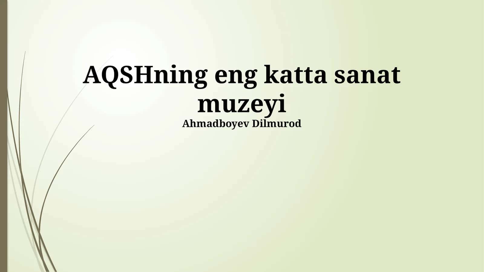 AQSHning eng katta sanat muzeyi