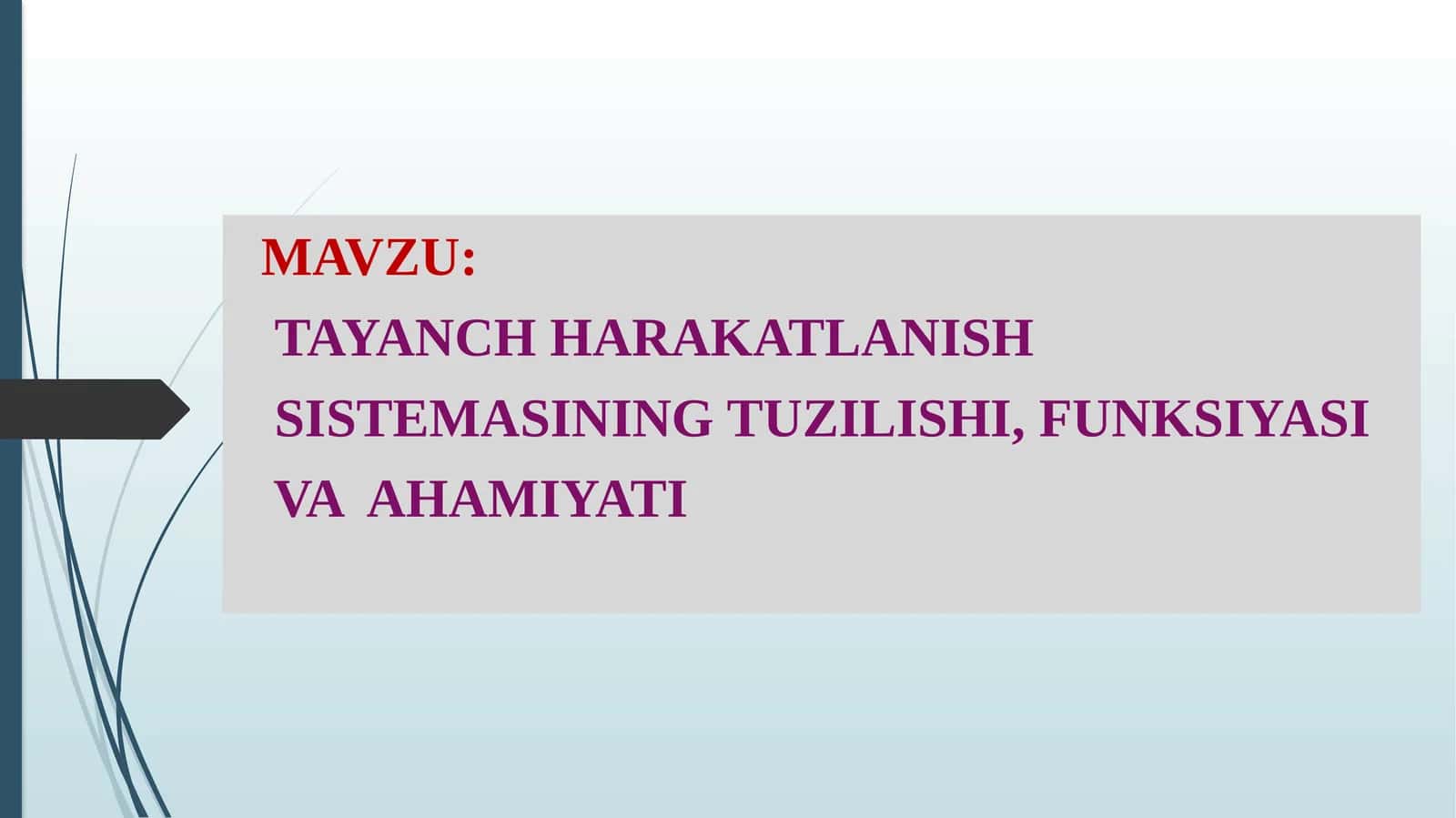 TAYANCH HARAKATLANISH SISTEMASINING TUZILISHI, FUNKSIYASI VA AHAMIYATI