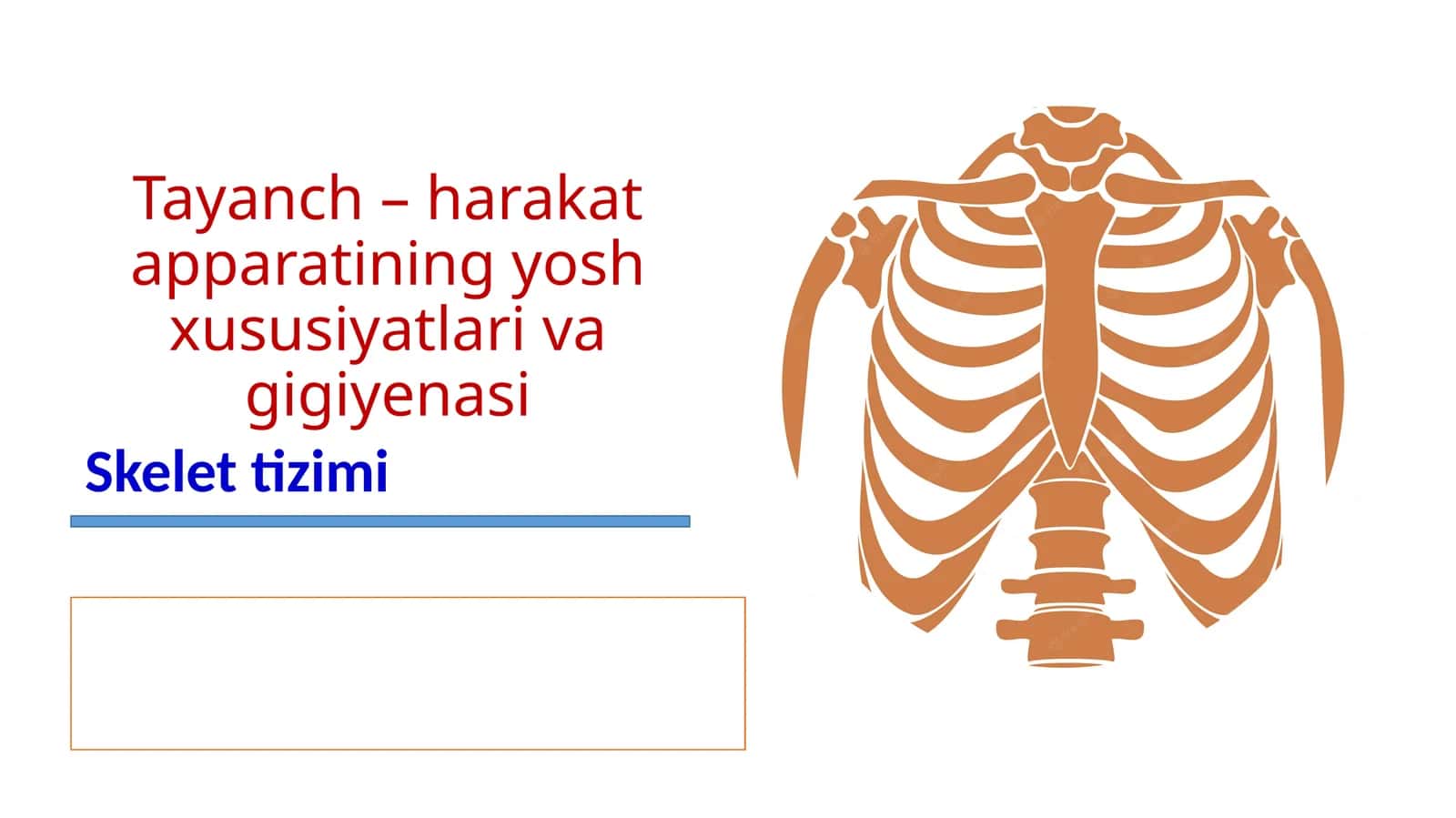 Tayanch – harakat apparatining yosh xususiyatlari va gigiyenasi