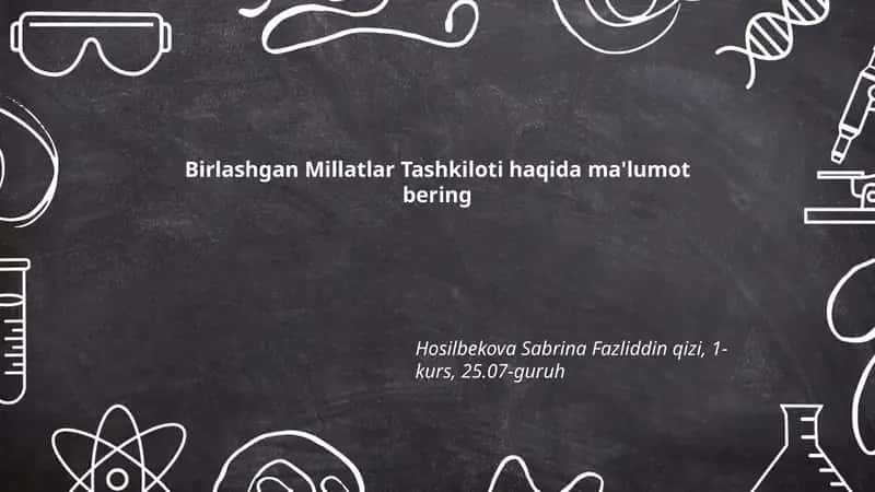 Birlashgan Millatlar Tashkiloti haqida ma'lumot