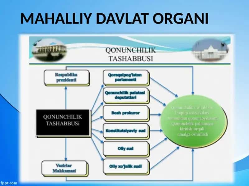 Mahalliy Davlat Organi