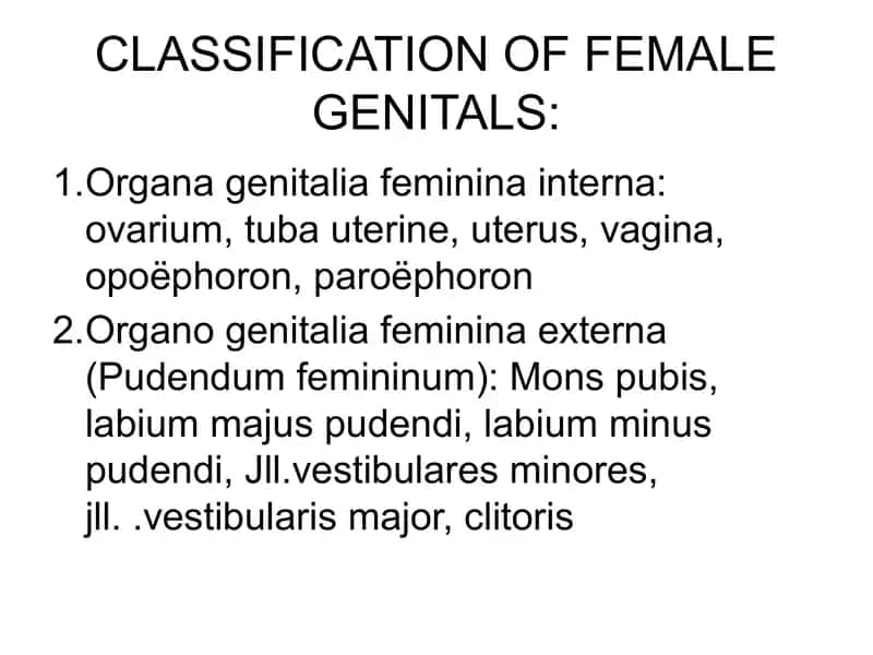 CLASSIFICATION OF FEMALE GENITALS: