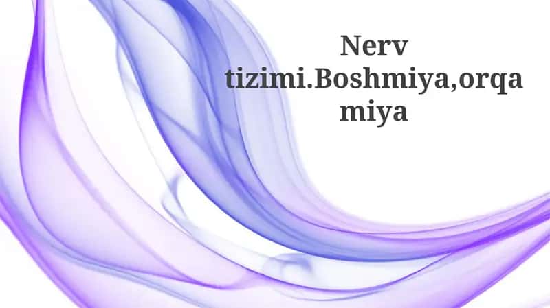 Asab tizimi