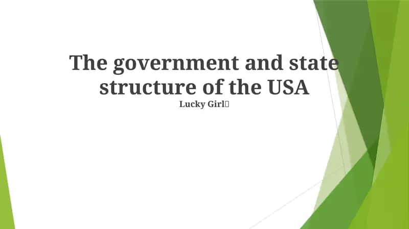 The government and state structure of the USA