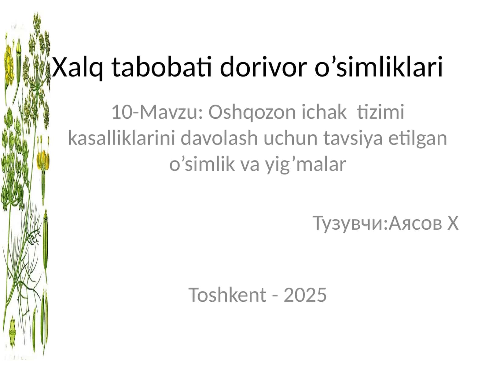 Xalq tabobati dorivor o’simliklari