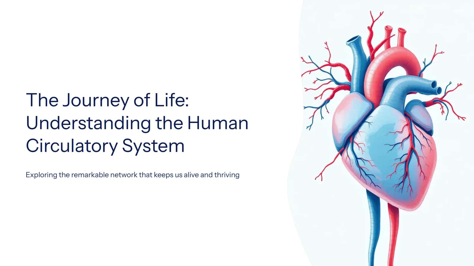 The Journey of Life: Understanding the Human Circulatory System